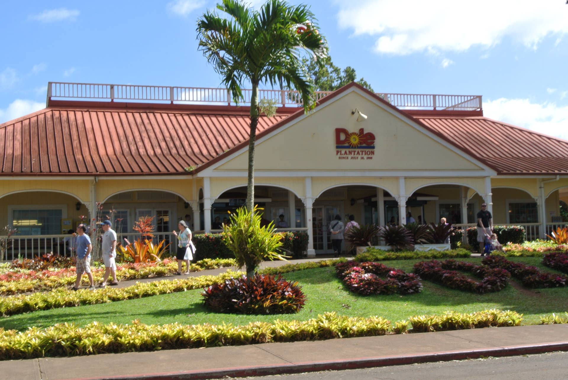 Dole Pineapple Plantation in Oahu, Hawaii - Wanderwisdom