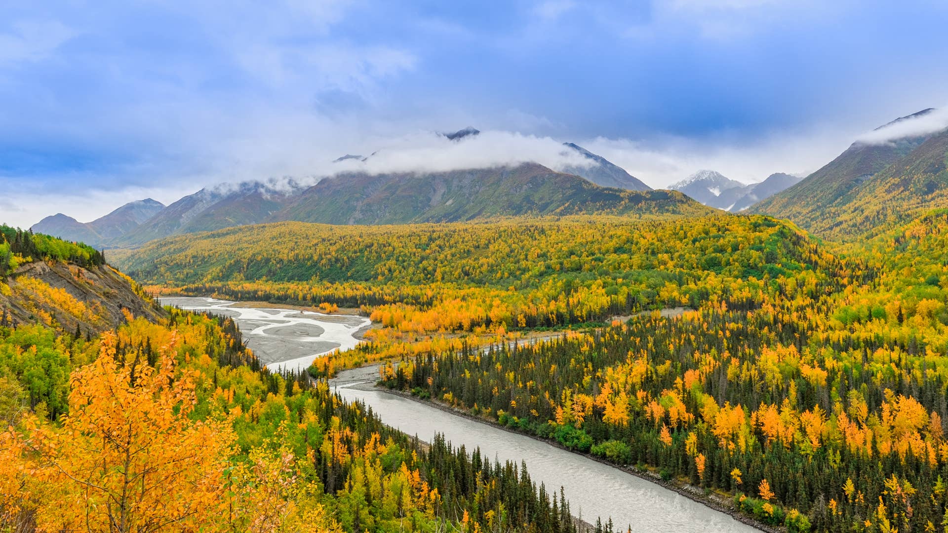 Video Showing the Incredible Foliage in Alaska in Fall Leaves Us ...