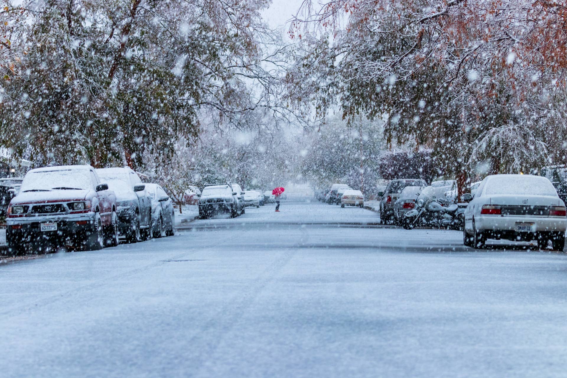 Predicted Winter Storm Is Set to Wreak Havoc on Holiday Travel ...