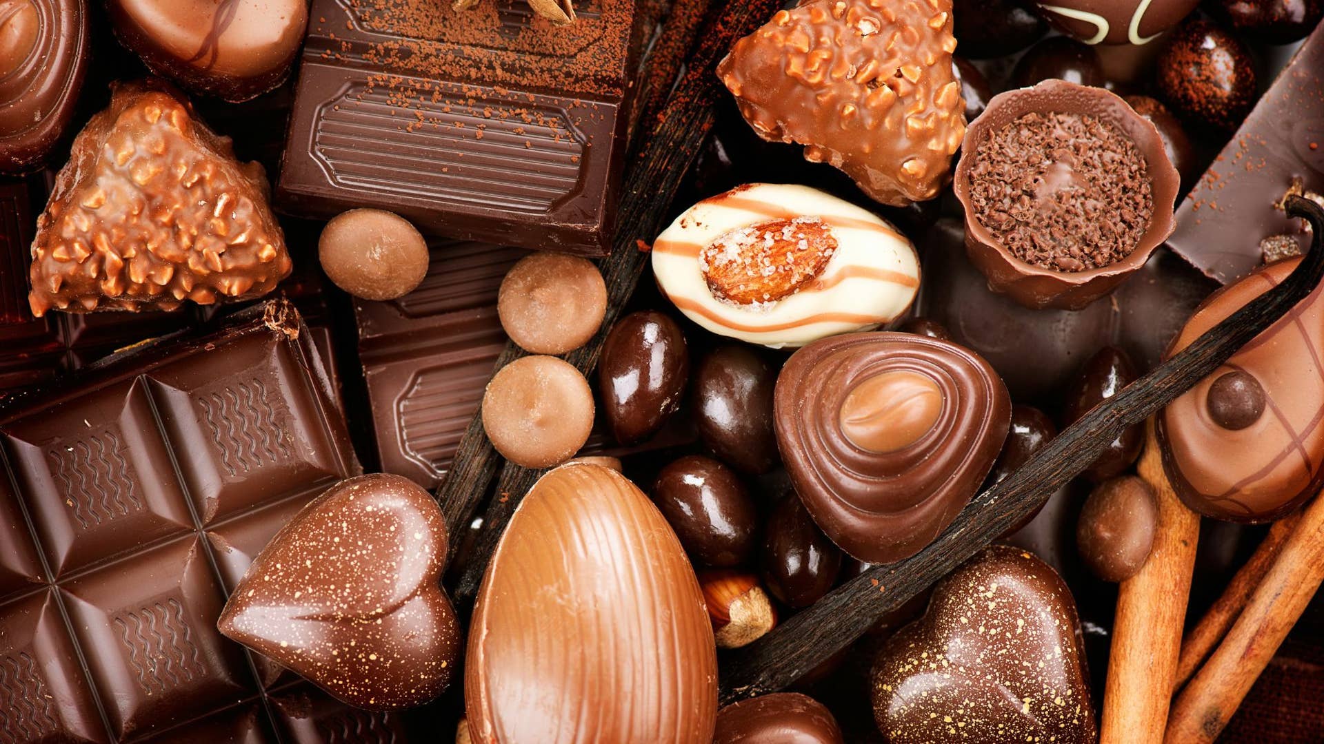 A Chocolate Museum Worthy of Wonka (for Better or Worse