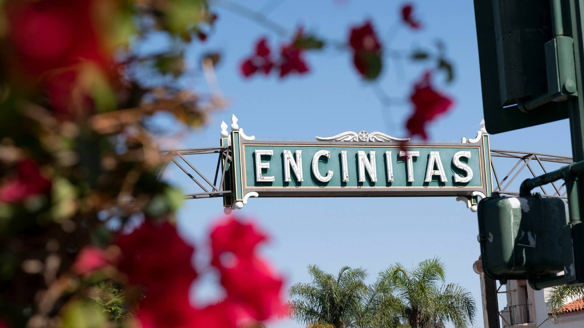 Eight Ways to Enjoy a Day in Encinitas, California - WanderWisdom