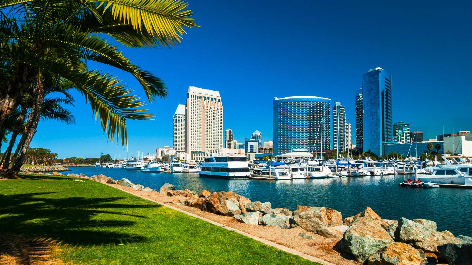 The Best Places to Visit in Summer USA with Family: A 2026 Guide for Discerning Travelers 10 5 Things to Do in San Diego - Wanderwisdom