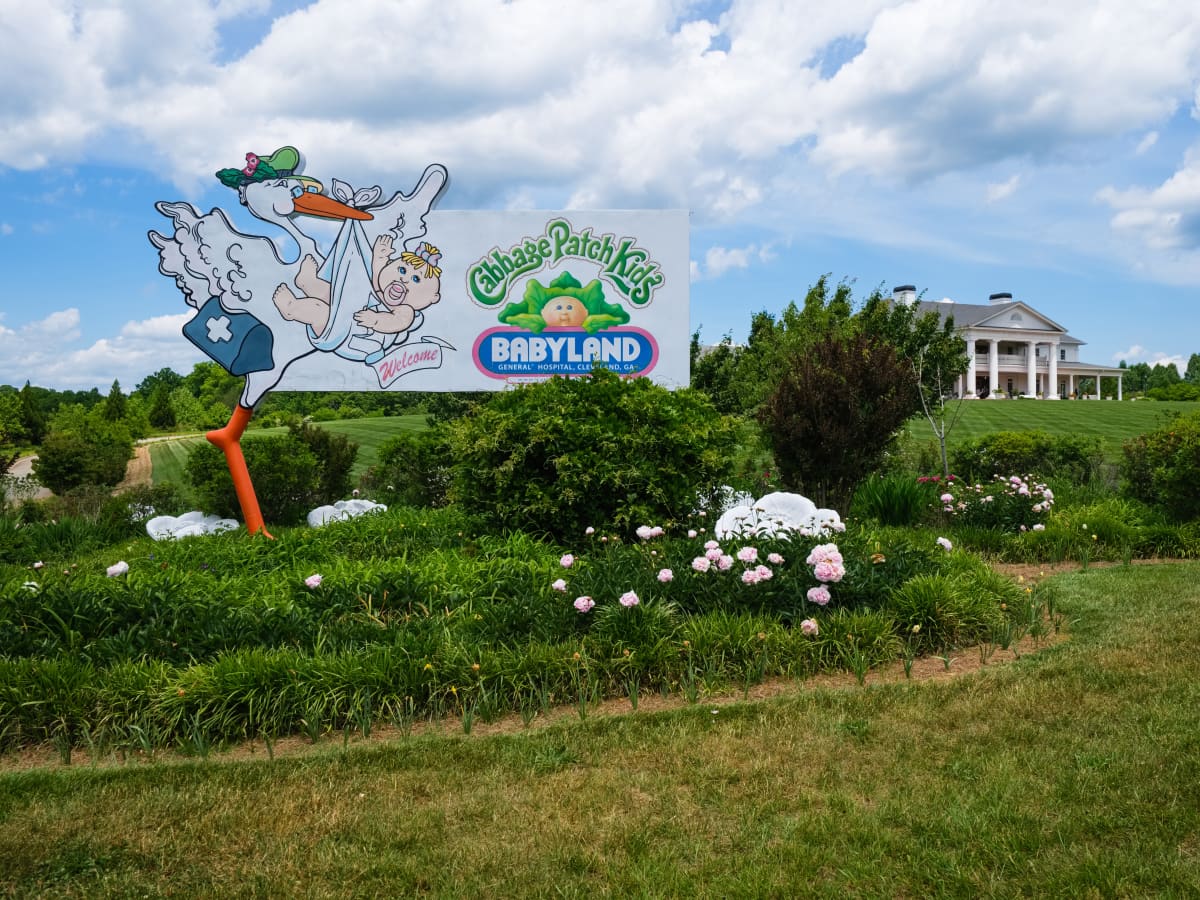 The cabbage patch hospital on sale