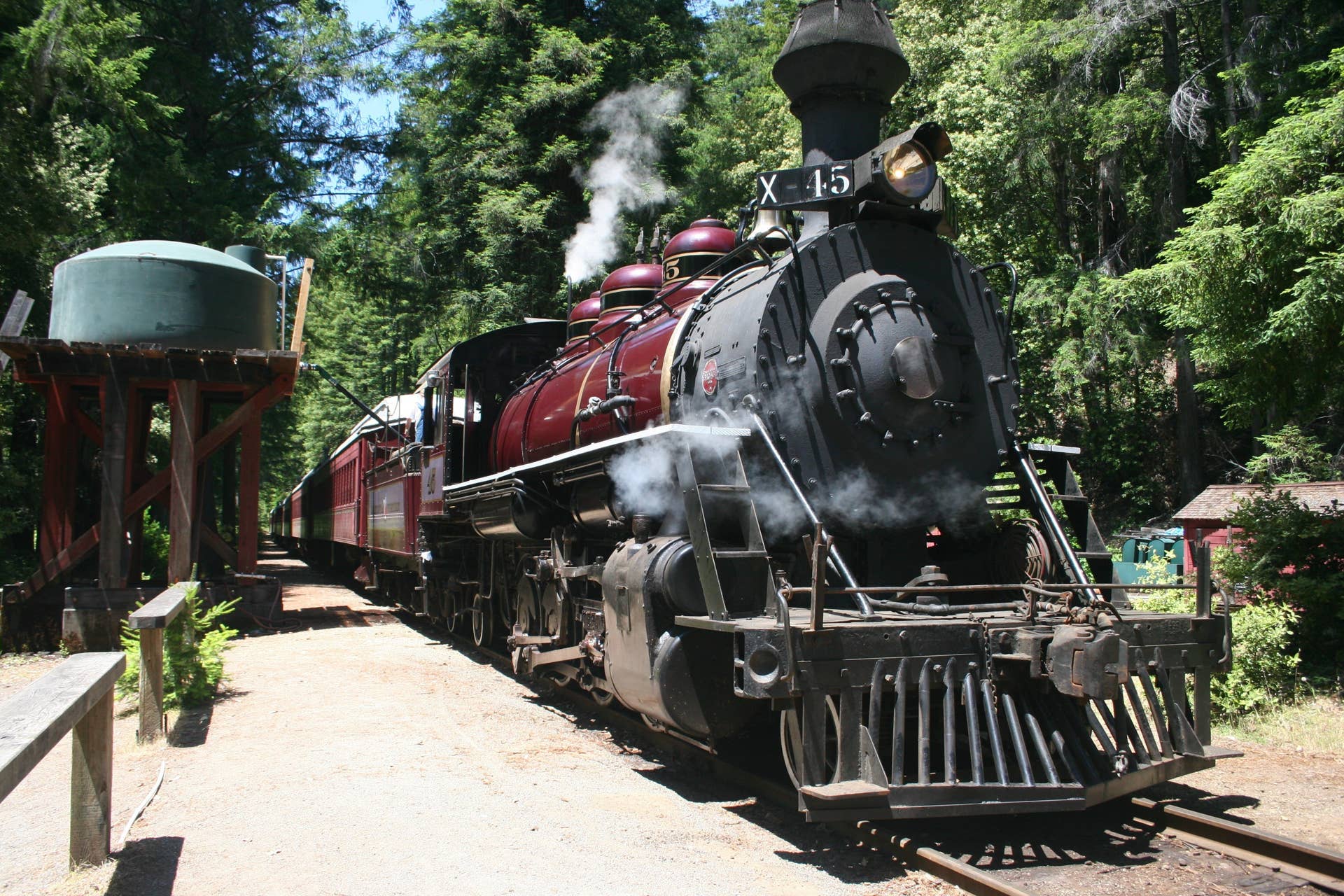 Skunk Train Ride Nostalgic ‘Skunk Train’ Ride Is the Most Charming Way To See the ...